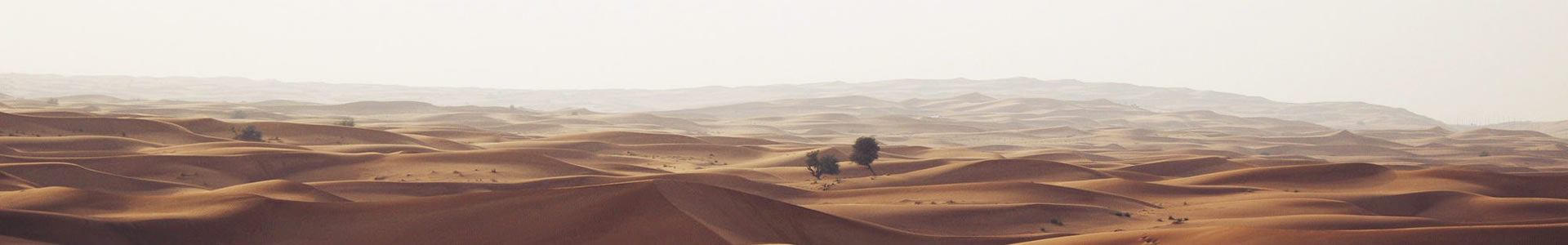 ϺĻ-չʾ޹˾